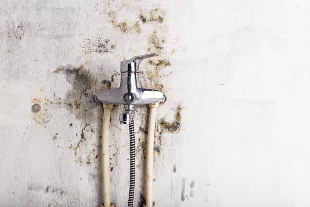 Best Office Mold Removal Services  in Bath, ME