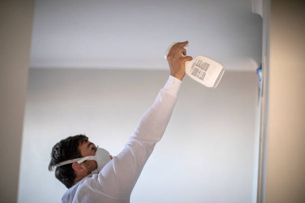 Best Mold Testing  in Bath, ME